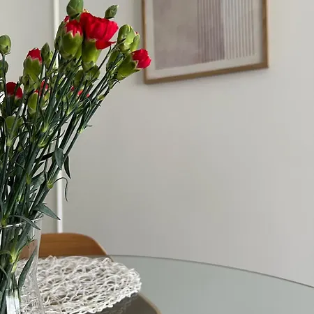 4 Pietro Apartament